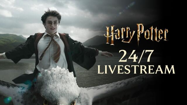🔴 LIVE: Harry Potter Marathon | 24/7 Livestream