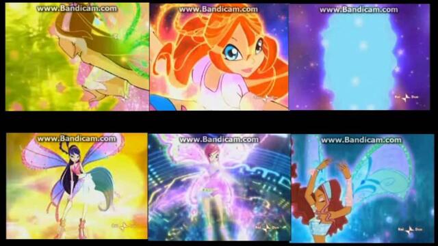 Winx Club - ALL TRANSFORMATIONS SPLIT SCREEN