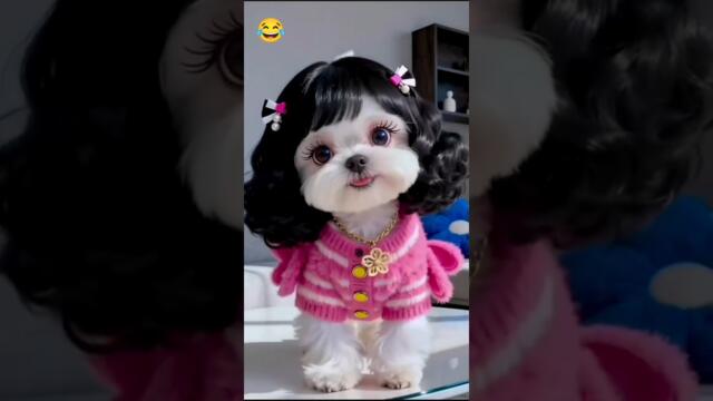 dogs की परी,, 😀🐕🙋 #youtubeshorts #funny #deepakkumarcomedian  #viral #funny #humor #reels ,