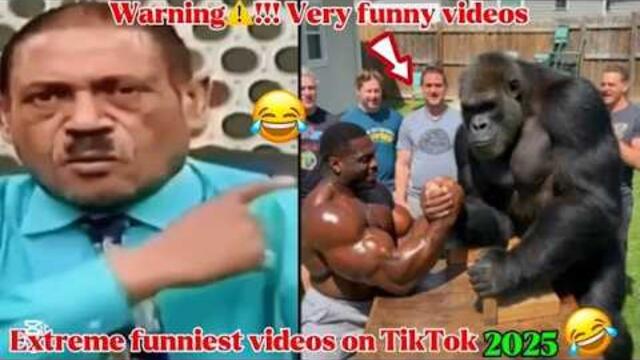 The Craziest Funny Videos in the World  Try Not to Laugh!🤣 #19