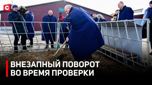 ЛУКАШЕНКО ВЗЯЛСЯ ЗА ВИЛЫ. Президент нагрянул на ферму с неожиданной проверкой