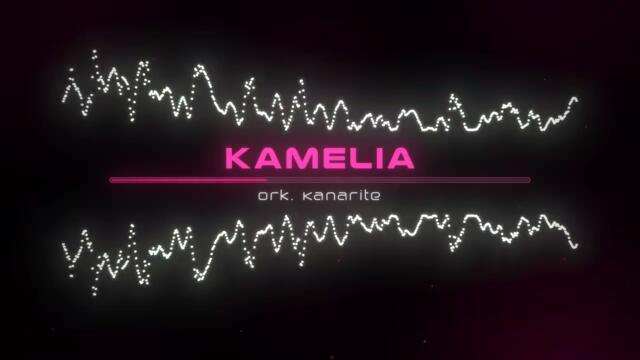 Ork. Kanarite - Kamelia Remix (Cover) / Орк. Канарите - Камелия