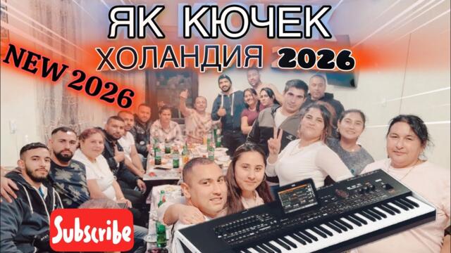 ЯК КЮЧЕК ХОЛАНДИЯ  2026 