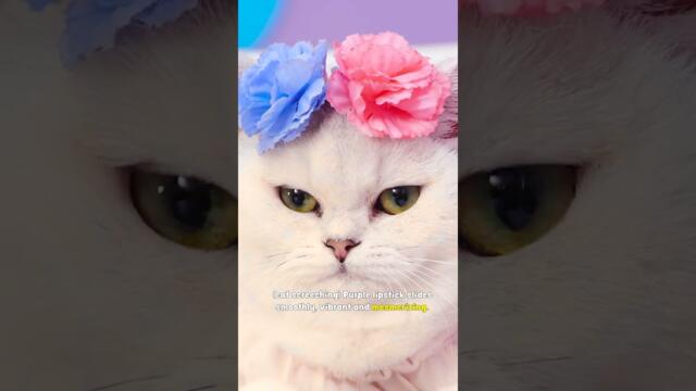 🎉 Whisker Wonders: Kitty’s Nutella Lipstick Adventure! 💄😻🍫