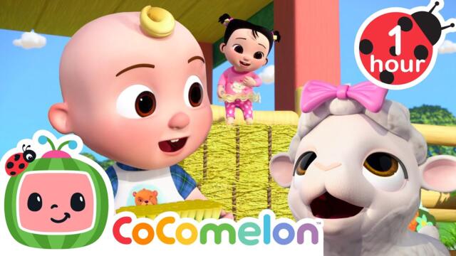 Fun On The Farm 🐑🎀 | CoComelon | Preschool Cartoons for Kids | Moonbug Kids