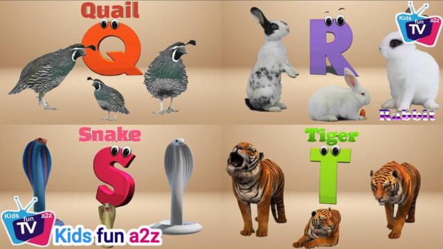 A for Apple ABC Song for Kids - Kids fun a2z TV Nursery rhymes - Alphabet Letters for Kids