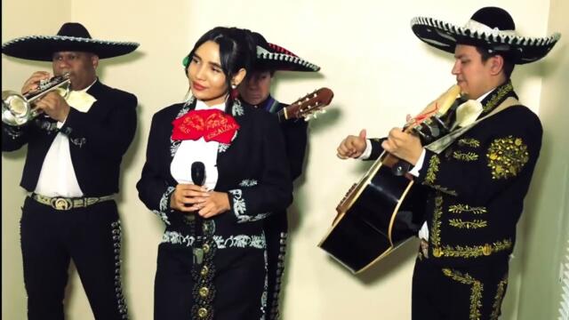 Paloma Cucurrucucu | Mexican Mariachi | Mariachi Encanto UK