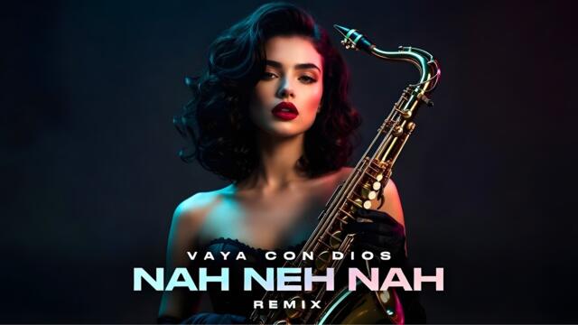 Vaya Con Dios – Nah Neh Nah Remix (DJ Monster Cover Edit)