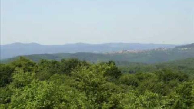 Китка От Тракия 1 - Мих.