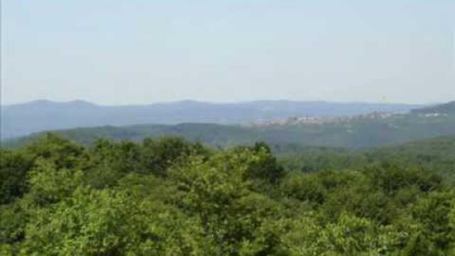 Китка От Тракия 2 - Мих