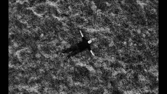 FINK - Memorise Your Senses (Official Video)