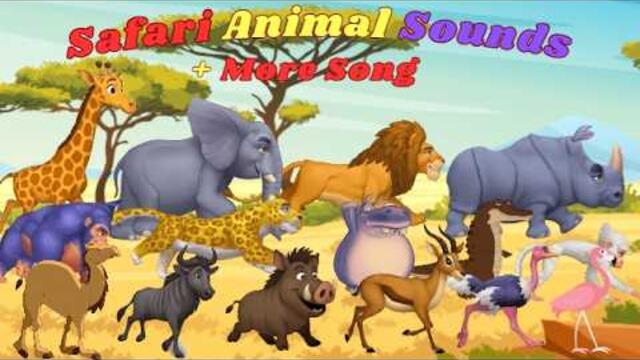 Safari Animal Sounds | ABC Zoo Animals + More Song  N28TH2 | Animal Sounds