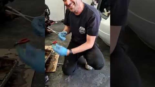 „Извънредно за всички BMW фенове! Иван Ванов разкри нещо, което никой не очакваше…