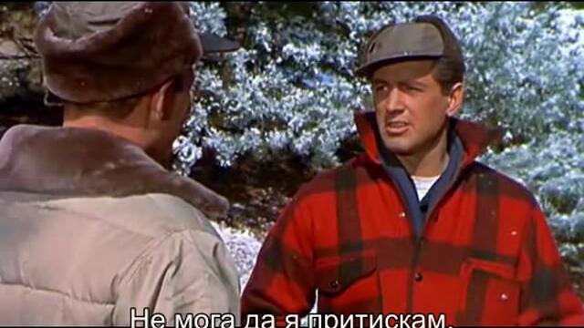 Това което Господ даде (All That Heaven Allows 1955) 2/2