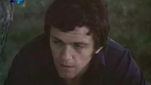 Щурец в ухото (1976)