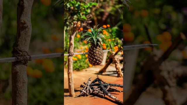 Juicey pineapple with honey blaze ember crackle fire roast #pineapple #survival @flaviacapital