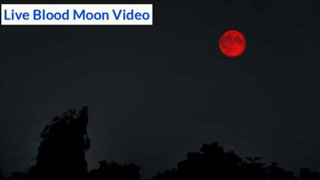Blood Moon (Total Lunar Eclipse) Caught on Camera - 3 March 2026 - Live Footage