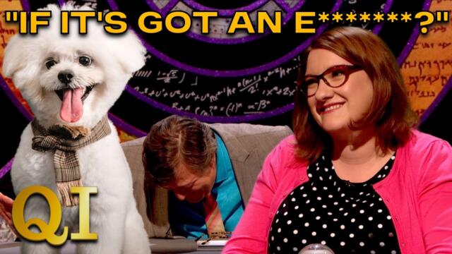 How Do Dogs Secretly Show They're Happy To See You? | QI