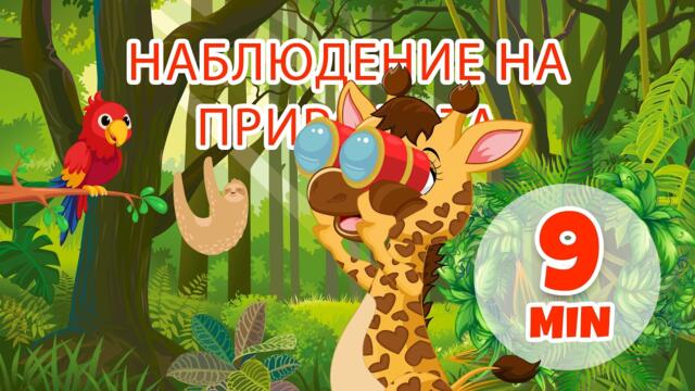 Наблюдение на природата - 9 мин. Giramille | Детски песнички и песнички