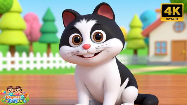 Meow Meow Billi Kerti Meow | म्याऊँ म्याऊँ बिल्ली करती म्याऊँ | Hindi Rhyme | Nursery Rhyme For Kids