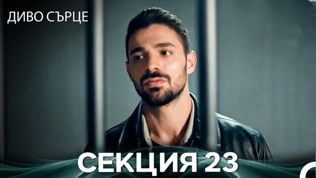 Диво Сърце Епизод 23 (Български дублаж)