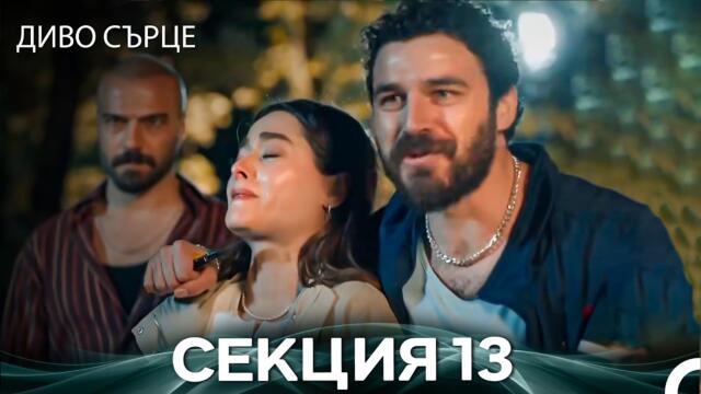 Диво Сърце Епизод 13 (Български дублаж)