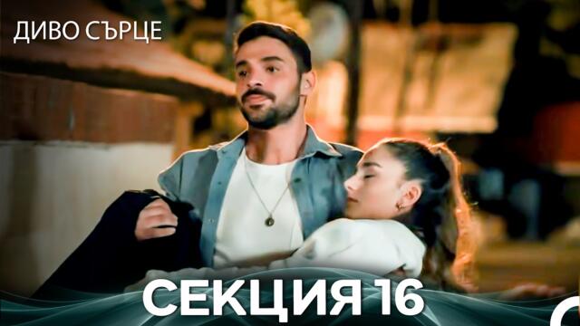 Диво Сърце Епизод 16 (Български дублаж)
