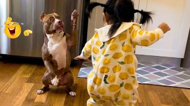 Hilarious Dog Moments That Turned Normal Days Into Chaos 🐶😂