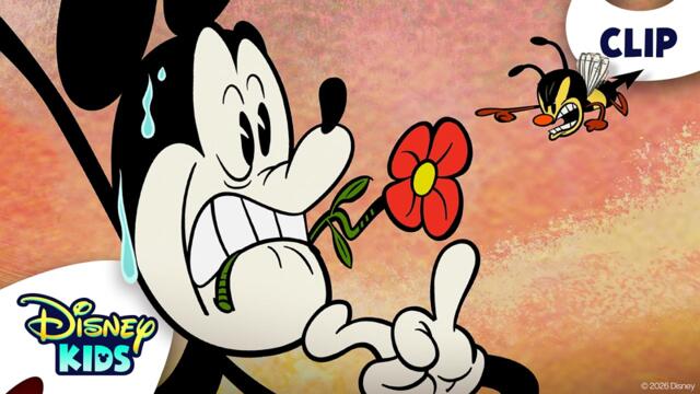 Mickey Mouse Attacked By A Bee 🐝 | Mickey Mouse (Shorts) | @disneykids