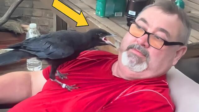 Animals and Humans Share the Funniest Moments Ever 🤣 Funny Animal Videos 2026