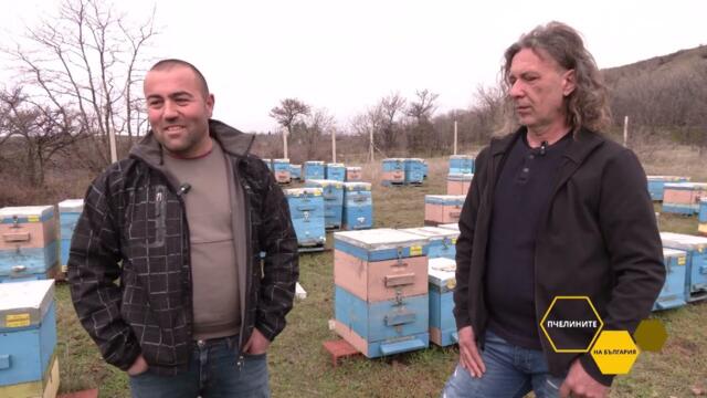 Пчелините на България: Професионални пчелари от Сандански работят в неформален кооператив