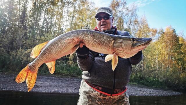 Клев щуки в полнолуние. Миф или реальность!