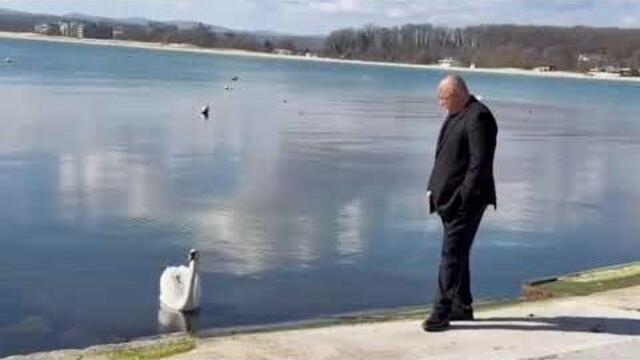 БОЙКО БОРИСОВ И ЛЕБЕД. ТОВА Е ЛИДЕРА НА ГЕРБ