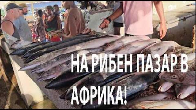 НА РИБЕН ПАЗАР В ТАНЗАНИЯ BAGAMOYO FISH MARKET #africa #tanzania #travel #fishmarket #nature