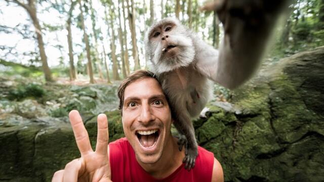 Funniest Animal Videos of 2026 Ever! 😅