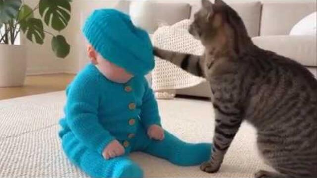 COOL PEAS - Funniest Baby And Cat Are Best Friends - Funny Baby and Pets