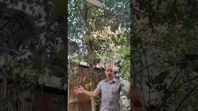 Business consultant: 19. За времеемките приятелства и оптимизиране на времето, изкарване на пари...