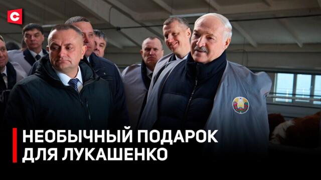 Лукашенко подарили корову! Президент с рабочим визитом в Могилевской области