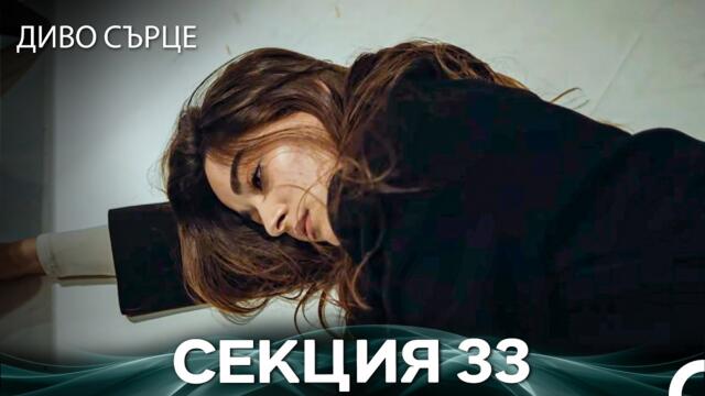 Диво Сърце Епизод 33 (Български дублаж)