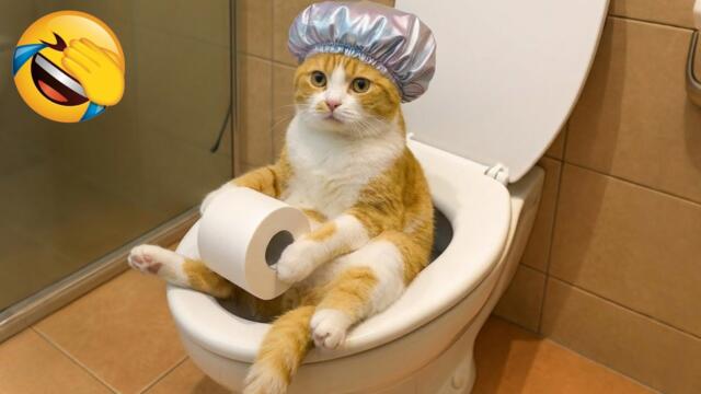 Try Not Laughing 😅 New Funny Cats and Dogs 2026 😹🐶 Part 12