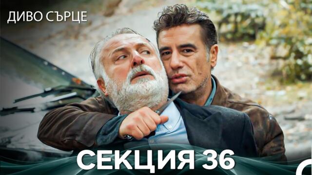 Диво Сърце Епизод 36 (Български дублаж)