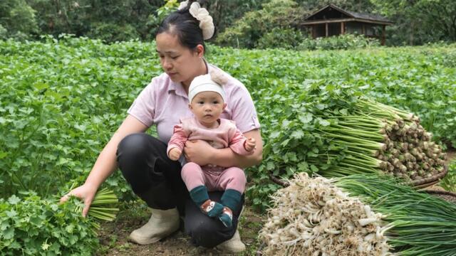 Fresh, delicious vegetables are sold in the countryside - and tasty farm-fresh dishes.