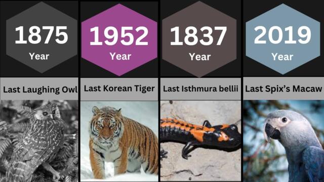 Last Extinct Animals (0000–2025)