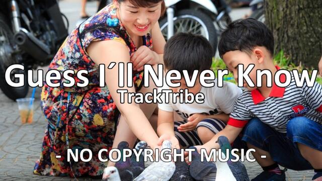 Guess I´ll Never Know - TrackTribe [Copyright FREE MUSIC]