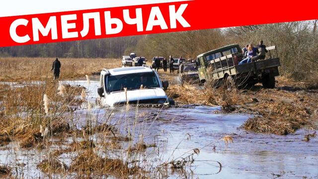 ✊🇷🇺ПРОСТО ПСИХ! TANK 300 решил, что он бессмертный! Тяжелый весенний маршрут.