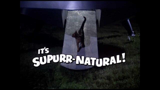 The Cat From Outer Space (1978) - Trailer