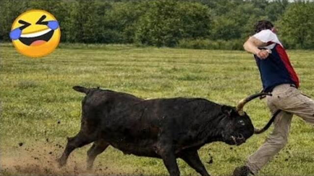 Top 50 memes 🤣🤣🤣#funny #fails #shorts #shortvideo #yabaifunny #shortsfeed part 4