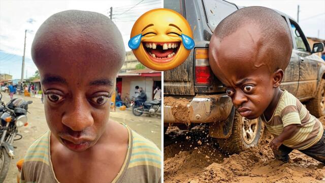 Top Funniest Videos That Will Cure Your Bad Mood 🤣