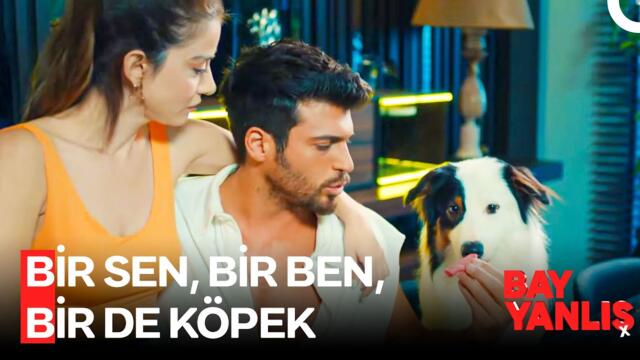 Mutluluğun Formülü Çok Açık - Bay Yanlış