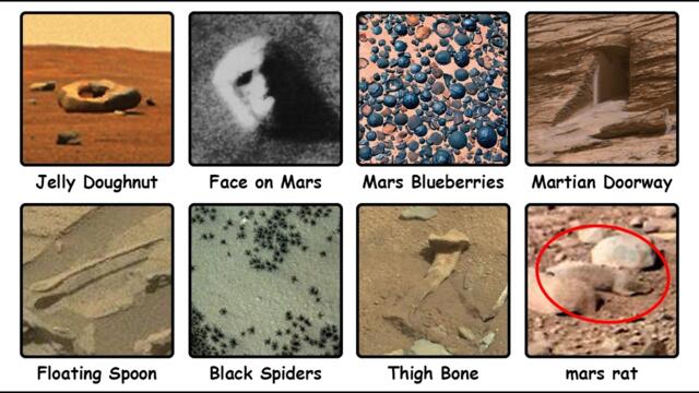 Weirdest Things Found on Mars